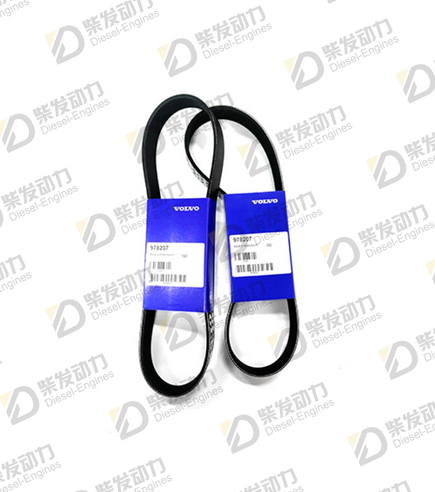 V-ribbed belt 978207 